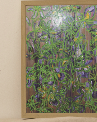 보란잎에 노란 봉오리 - 쿠로하