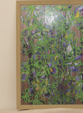 보란잎에 노란 봉오리 - 쿠로하